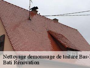 Nettoyage demoussage de toiture 67 Bas-Rhin  Bati Rénovation