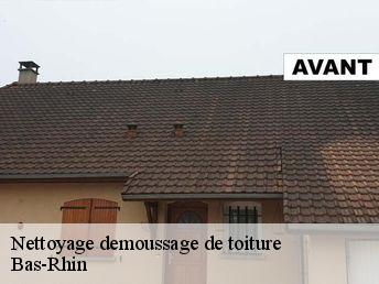 Nettoyage demoussage de toiture Bas-Rhin 