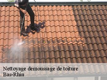 Nettoyage demoussage de toiture