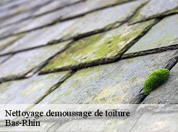 Nettoyage demoussage de toiture Bas-Rhin 