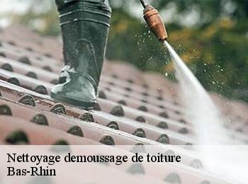 Nettoyage demoussage de toiture