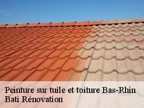 Peinture sur tuile et toiture 67 Bas-Rhin  Bati Rénovation