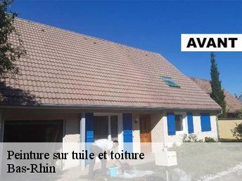 Peinture sur tuile et toiture Bas-Rhin