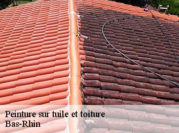 Peinture sur tuile et toiture Bas-Rhin 