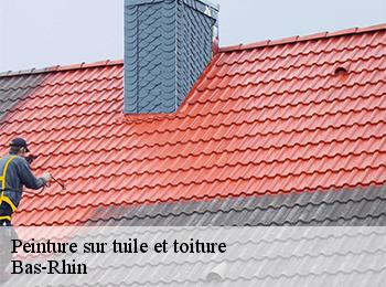 Peinture sur tuile et toiture Bas-Rhin 