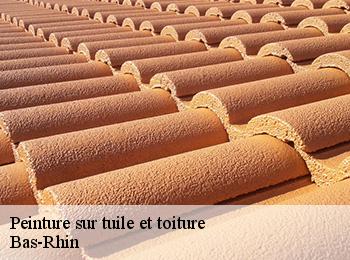 Peinture sur tuile et toiture Bas-Rhin