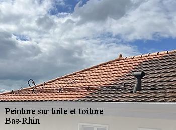 Peinture sur tuile et toiture