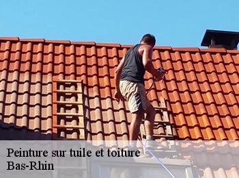Peinture sur tuile et toiture Bas-Rhin