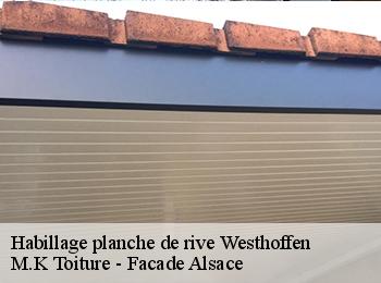 Habillage planche de rive  67310