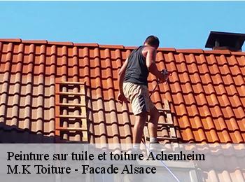 Peinture sur tuile et toiture  67204