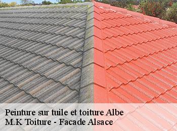 Peinture sur tuile et toiture