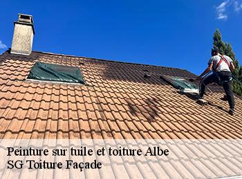 Peinture sur tuile et toiture 67220