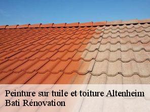 Peinture sur tuile et toiture  altenheim-67490 Bati Rénovation