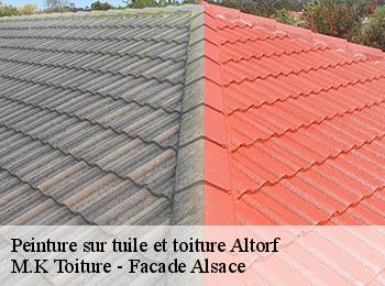 Peinture sur tuile et toiture