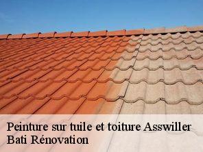 Peinture sur tuile et toiture  asswiller-67320 Bati Rénovation