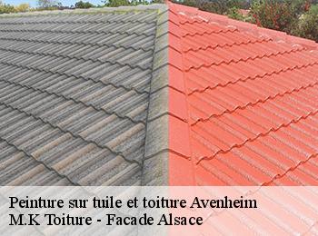Peinture sur tuile et toiture