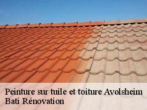 Peinture sur tuile et toiture  avolsheim-67120 Bati Rénovation