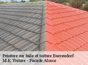Peinture sur tuile et toiture
