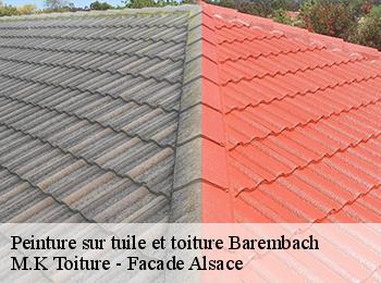 Peinture sur tuile et toiture