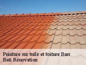 Peinture sur tuile et toiture  barr-67140 Bati Rénovation