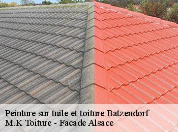 Peinture sur tuile et toiture