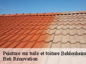 Peinture sur tuile et toiture  behlenheim-67370 Bati Rénovation