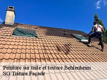 Peinture sur tuile et toiture 67370