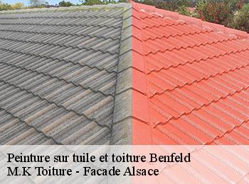 Peinture sur tuile et toiture