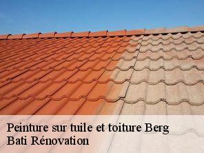 Peinture sur tuile et toiture  berg-67320 Bati Rénovation