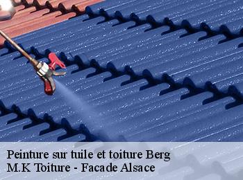 Peinture sur tuile et toiture  berg-67320 M.K Toiture - Facade Alsace