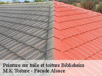 Peinture sur tuile et toiture