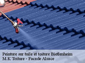 Peinture sur tuile et toiture  bietlenheim-67720 M.K Toiture - Facade Alsace
