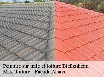 Peinture sur tuile et toiture