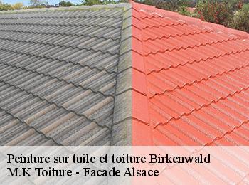 Peinture sur tuile et toiture