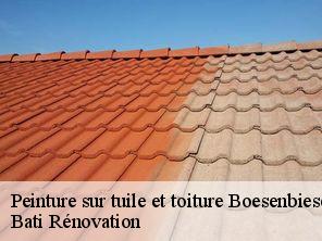 Peinture sur tuile et toiture  boesenbiesen-67390 Bati Rénovation