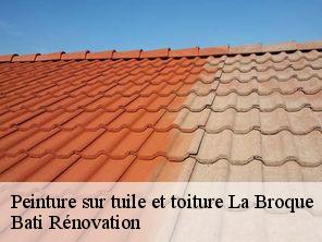 Peinture sur tuile et toiture  la-broque-67130 Bati Rénovation