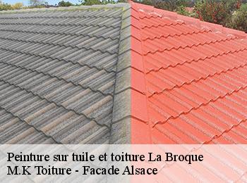 Peinture sur tuile et toiture