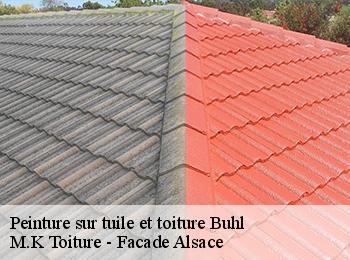 Peinture sur tuile et toiture