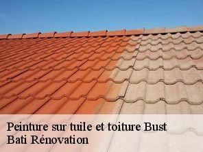 Peinture sur tuile et toiture  bust-67320 Bati Rénovation