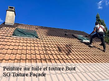 Peinture sur tuile et toiture 67320