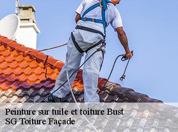 Peinture sur tuile et toiture
