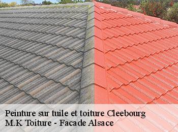 Peinture sur tuile et toiture