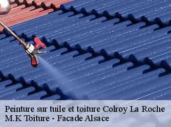 Peinture sur tuile et toiture  colroy-la-roche-67420 M.K Toiture - Facade Alsace