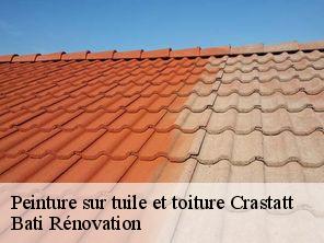 Peinture sur tuile et toiture crastatt-67310 Bati Rénovation