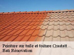 Peinture sur tuile et toiture  crastatt-67310 Bati Rénovation