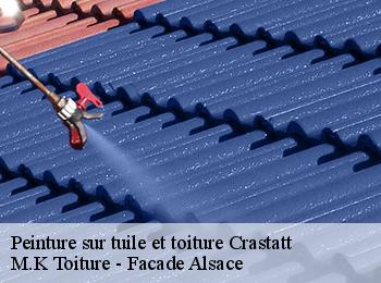 Peinture sur tuile et toiture  crastatt-67310 M.K Toiture - Facade Alsace
