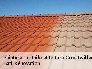 Peinture sur tuile et toiture  croettwiller-67470 Bati Rénovation