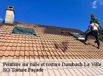 Peinture sur tuile et toiture 67650