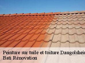 Peinture sur tuile et toiture dangolsheim-67310 Bati Rénovation