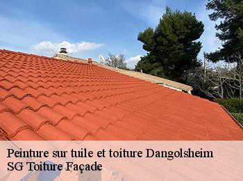 Peinture sur tuile et toiture  dangolsheim-67310 SG Toiture Façade